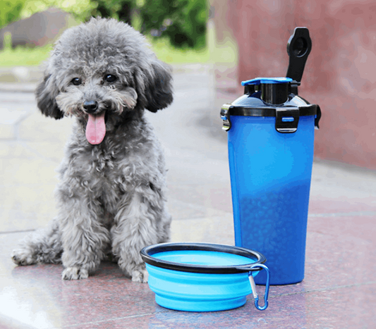 2-in-1 Pet Water Bottle Dispenser with Silicone Bowl
